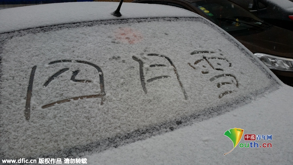 清明时节雪纷飞 哈尔滨遭遇“四月飞雪”