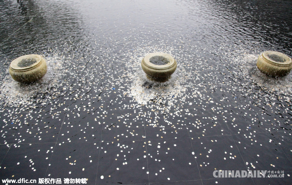 南京大屠杀纪念馆水池成游客“许愿池”