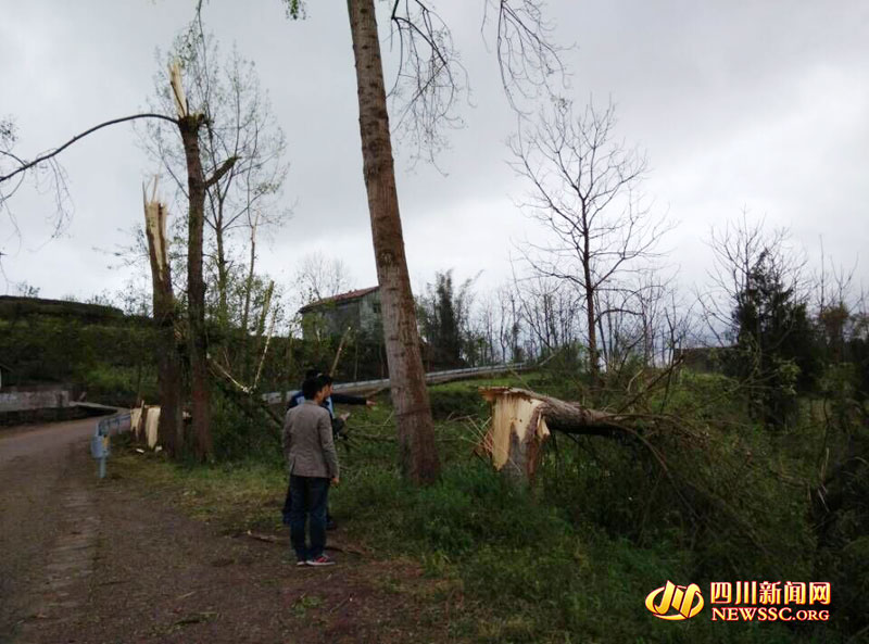 四川武胜13级大风致7人死亡