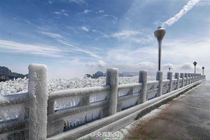 春天里的“冰雪奇缘”