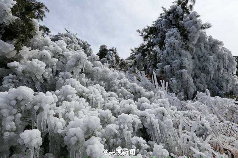 春天里的“冰雪奇缘”