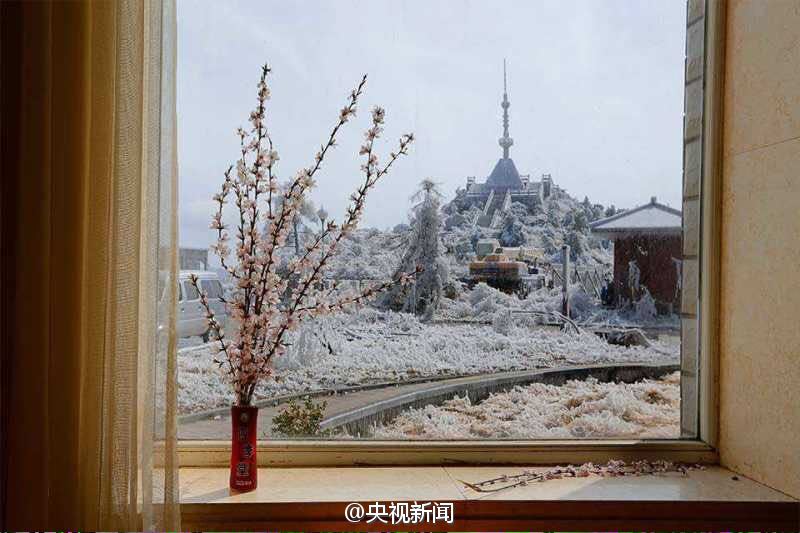 春天里的“冰雪奇缘”