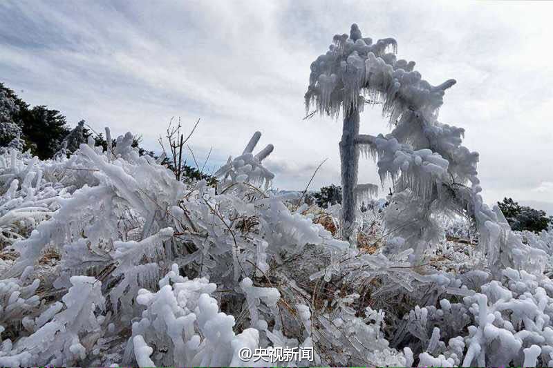 春天里的“冰雪奇缘”