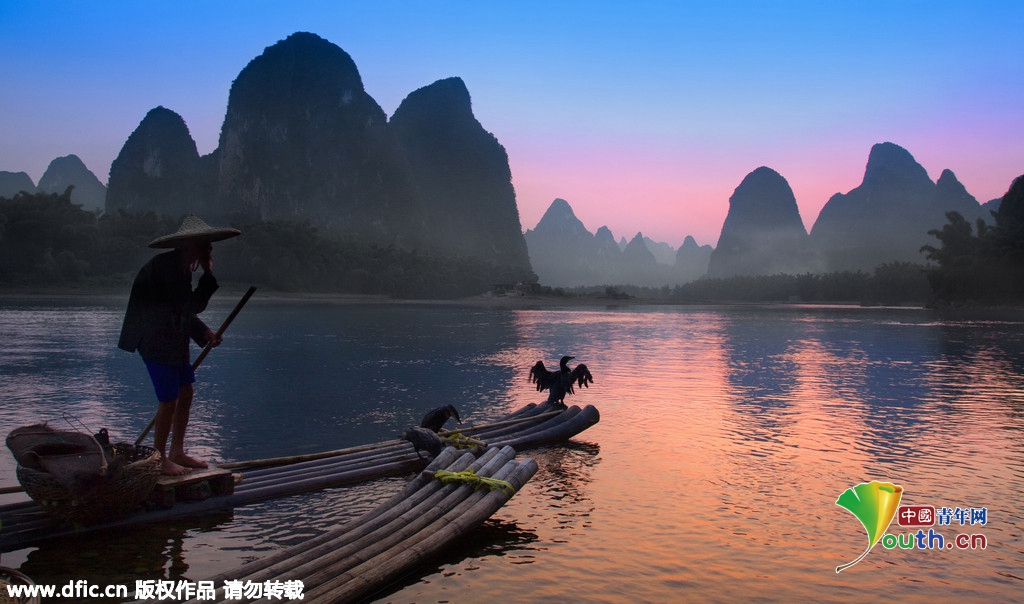 摄影师拍摄漓江鸬鹚捕鱼 演绎流传千年技法