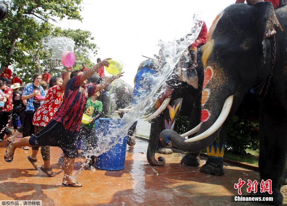 泰国泼水节 游客与大象水花中嬉戏