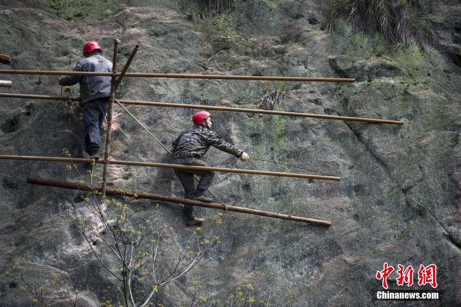 【图片故事】行走在悬崖峭壁上的栈道工