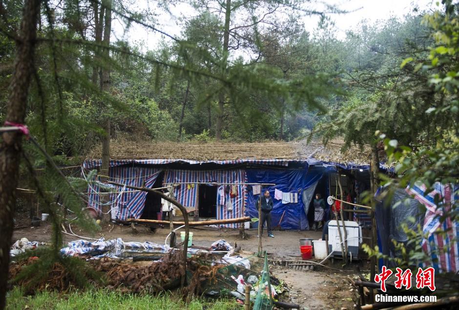 【图片故事】行走在悬崖峭壁上的栈道工