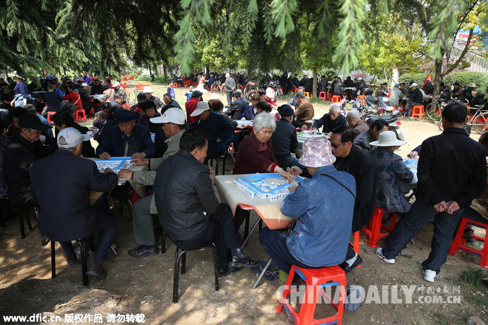 安徽：老人公园打麻将 大树下每日摆上百桌