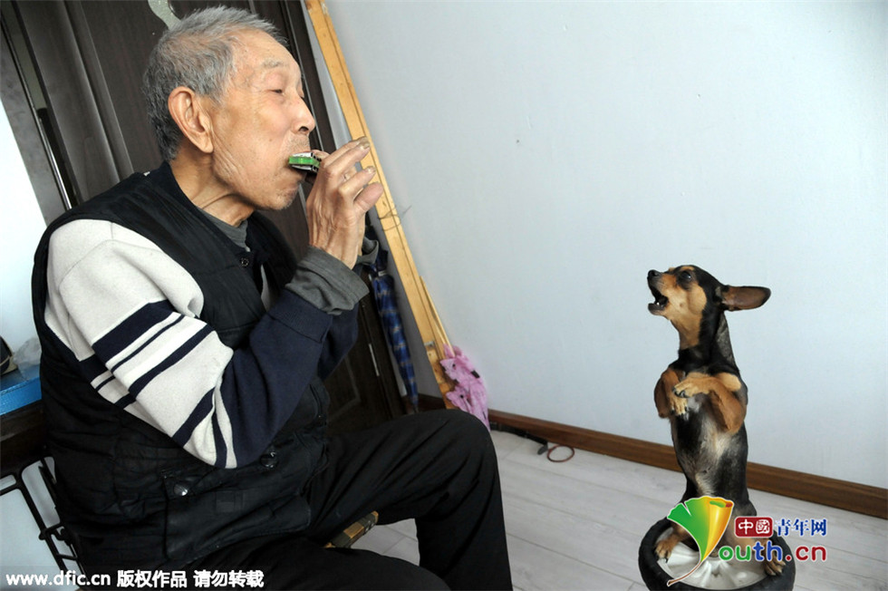 汪星人身怀绝技：10岁小狗能举5斤重杠铃