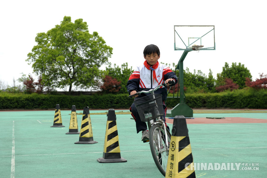 浙江余姚：小学生骑车上学要考“驾照” 