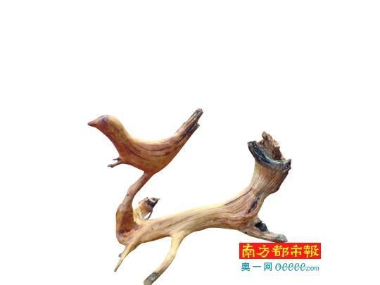 山西村民盗伐崖柏攀悬崖拿命换钱