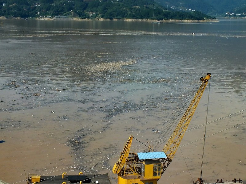 湖北秭归三峡库区现巨型垃圾漂浮带