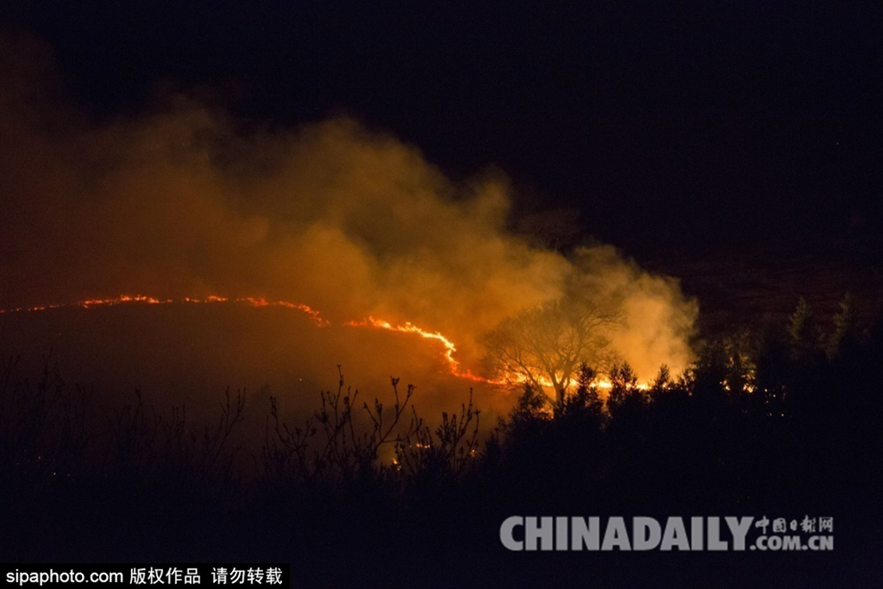 英国威尔士山火 仿若“火龙”盘踞山间