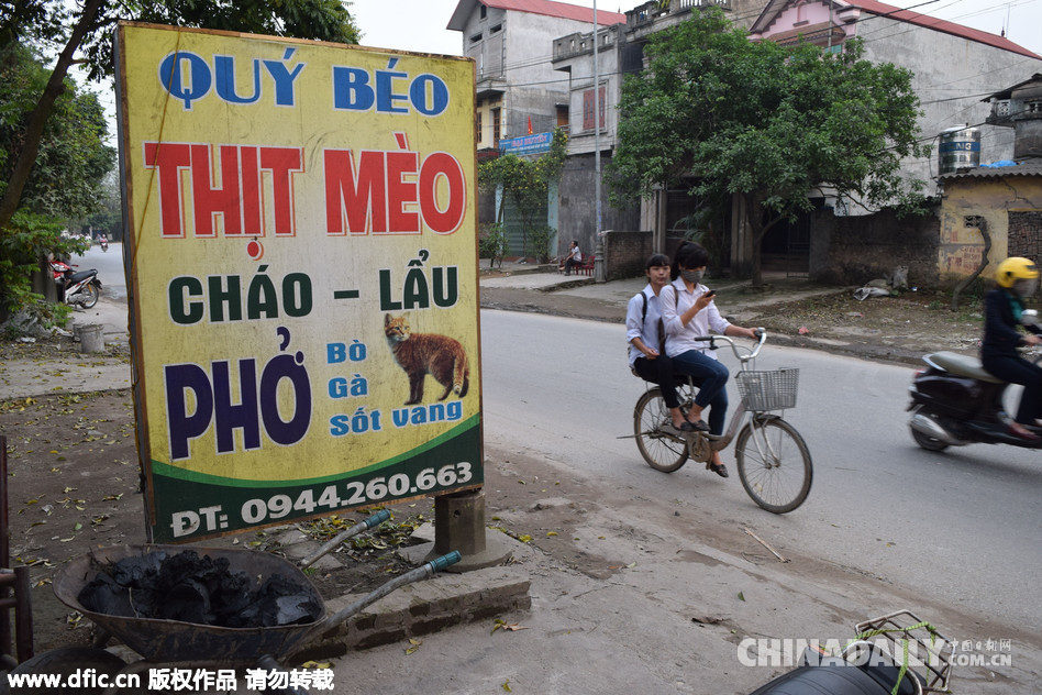 探访越南猫肉餐厅
