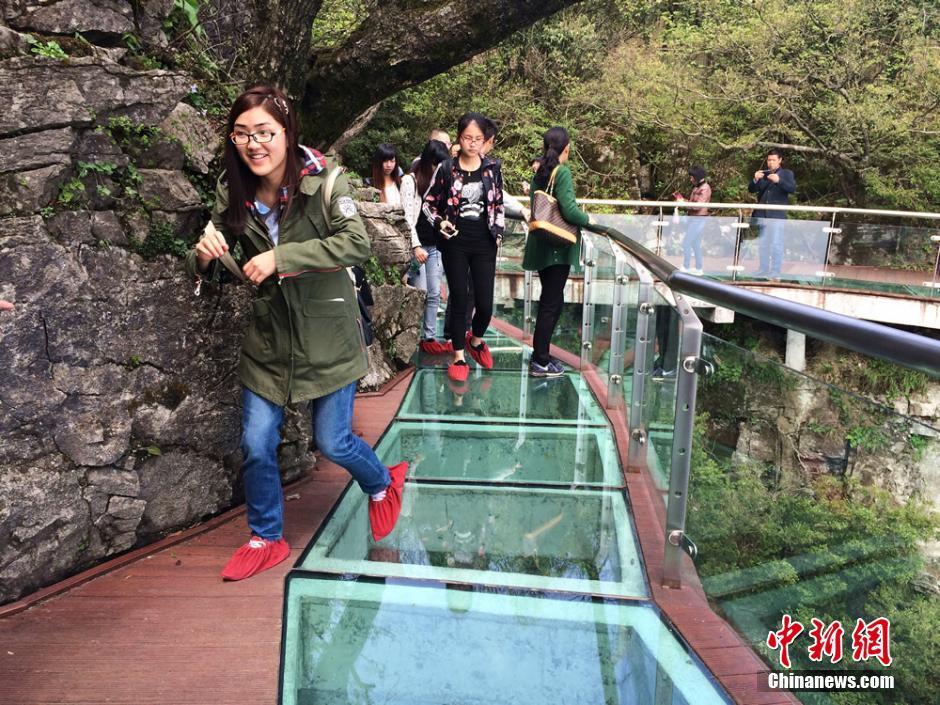 张家界天门山新增玻璃栈道 游客步步惊心