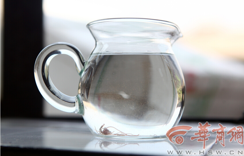 西安某家属院自来水飘满红线虫 市民称很恶心