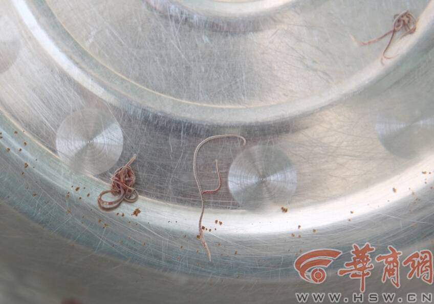 西安某家属院自来水飘满红线虫 市民称很恶心