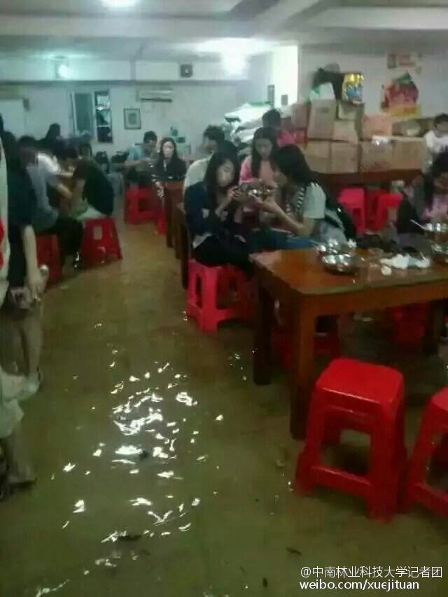 湖南暴雨致1死：大学被淹 学生看海