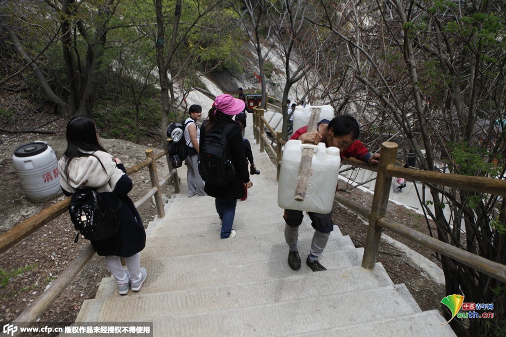 华山天价米饭如何炼成 网友称价格对得起挑夫