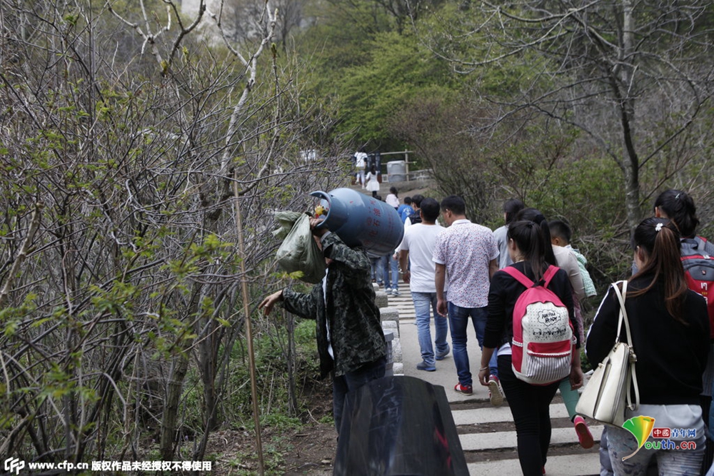 华山天价米饭如何炼成 网友称价格对得起挑夫