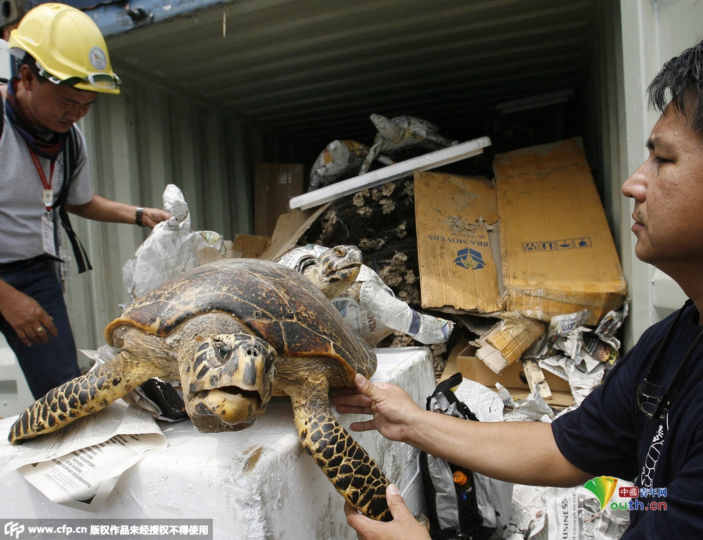 印尼濒危鹦鹉被塞塑料瓶走私 盘点各国残忍动物交易