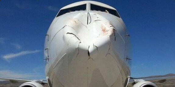土耳其一架客机空中撞鸟 机头严重凹陷