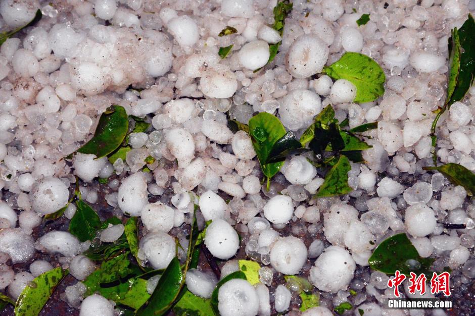 云南永善连续遭暴雨冰雹灾害冰雹大如汤圆