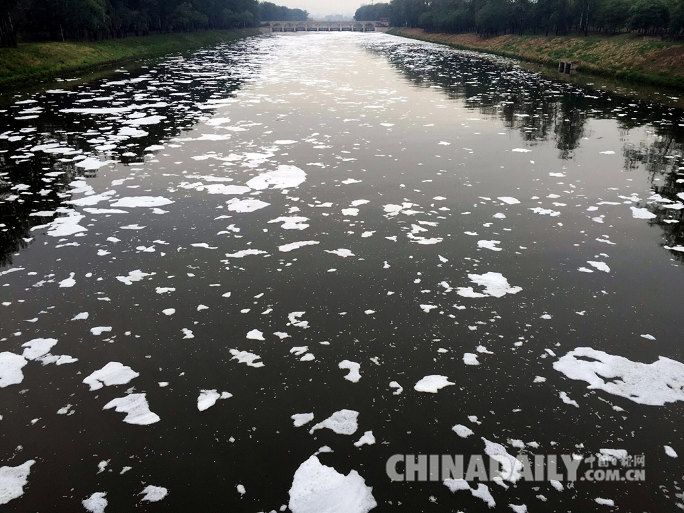 北京通州运潮减河现污染 河面漂浮大量白沫
