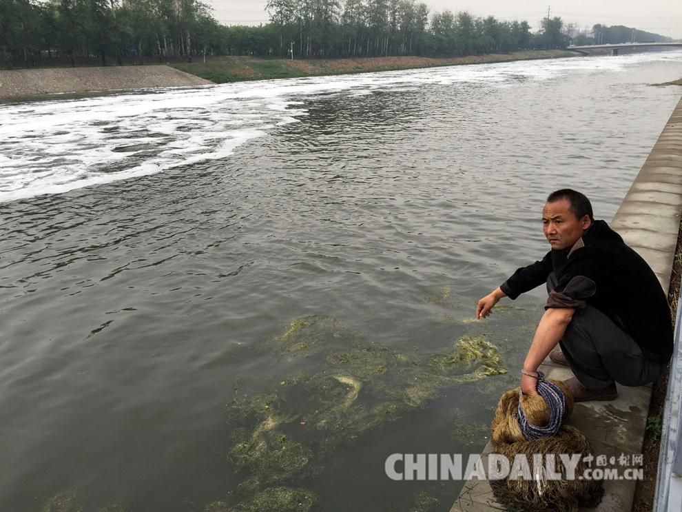 北京通州运潮减河现污染 河面漂浮大量白沫