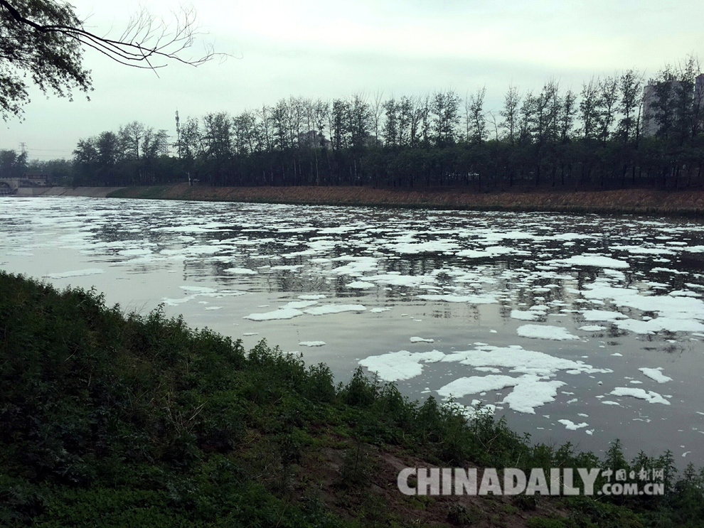 北京通州运潮减河现污染 河面漂浮大量白沫