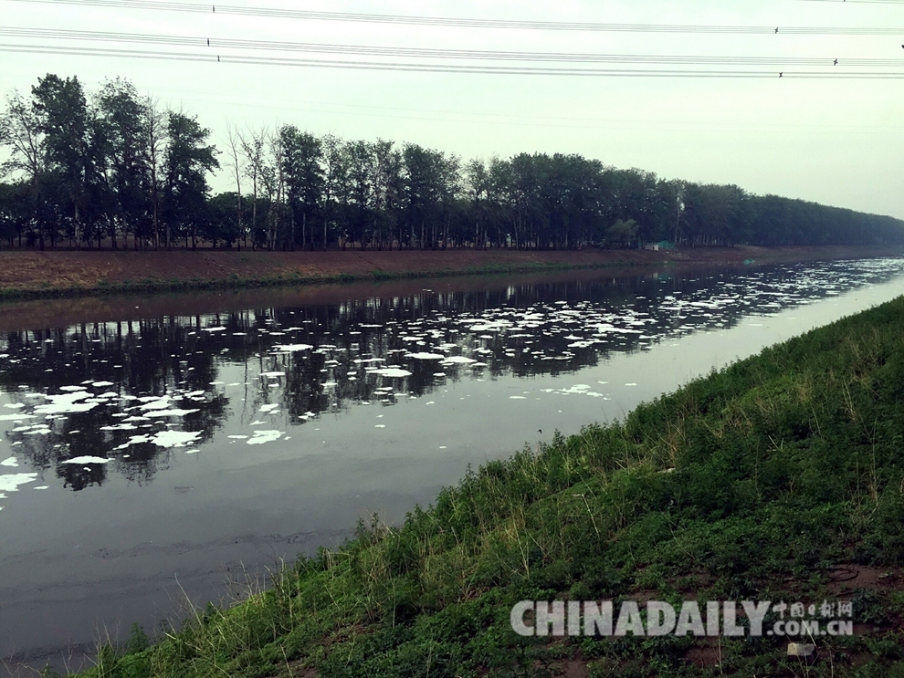 北京通州运潮减河现污染 河面漂浮大量白沫