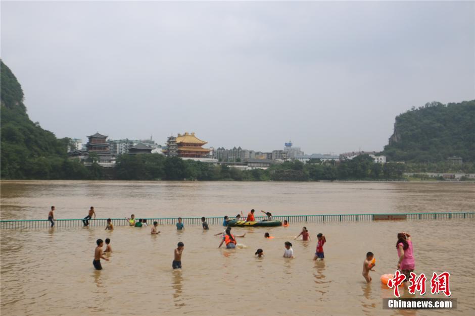 广西暴雨至柳江河水上涨 市民水中作乐