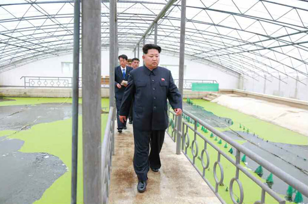 金正恩视察朝鲜甲鱼养殖厂罕见动怒