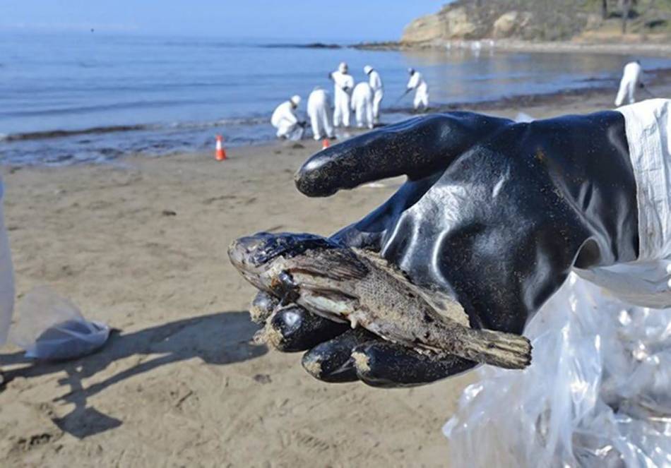 美国加州石油泄漏污染海面