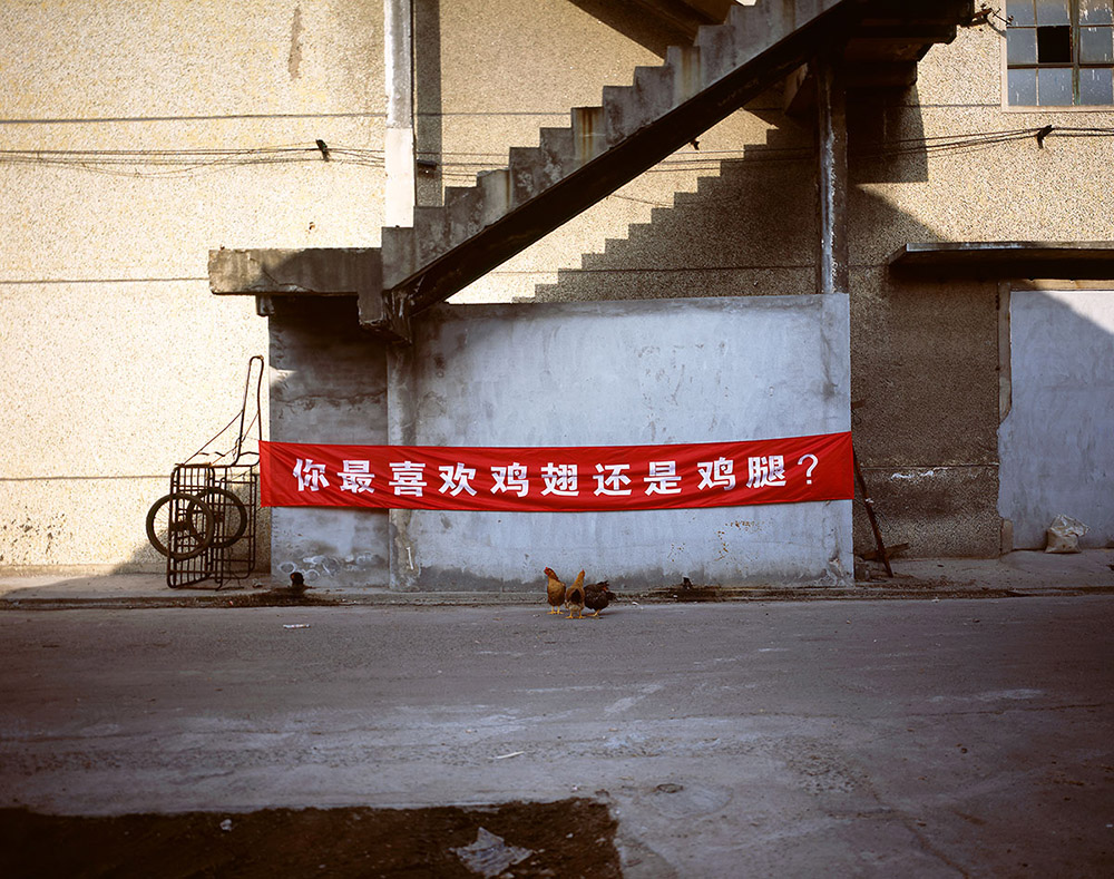 被法国摄影师玩坏了的中国横幅 (1/18)