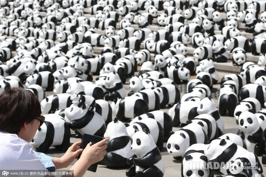 法国艺术家创作千余只熊猫玩偶亮相首尔 