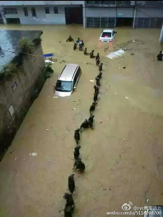 贵州雷山突降暴雨引发洪灾 3座大桥被冲毁