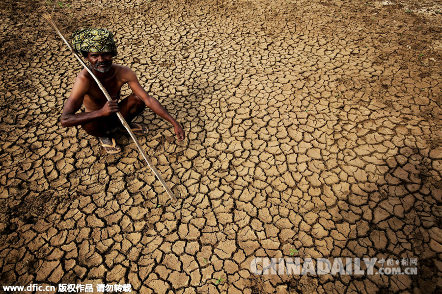 印度高温天气致死千人 土地开裂道路被烤化
