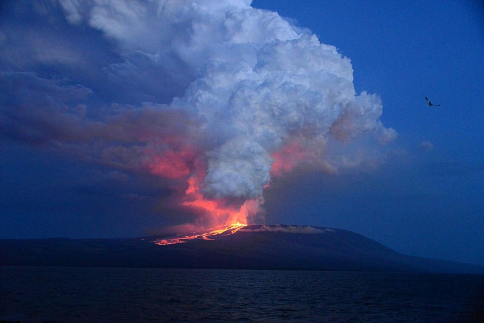 意大利地质学家拍摄罕见火山熔岩湖