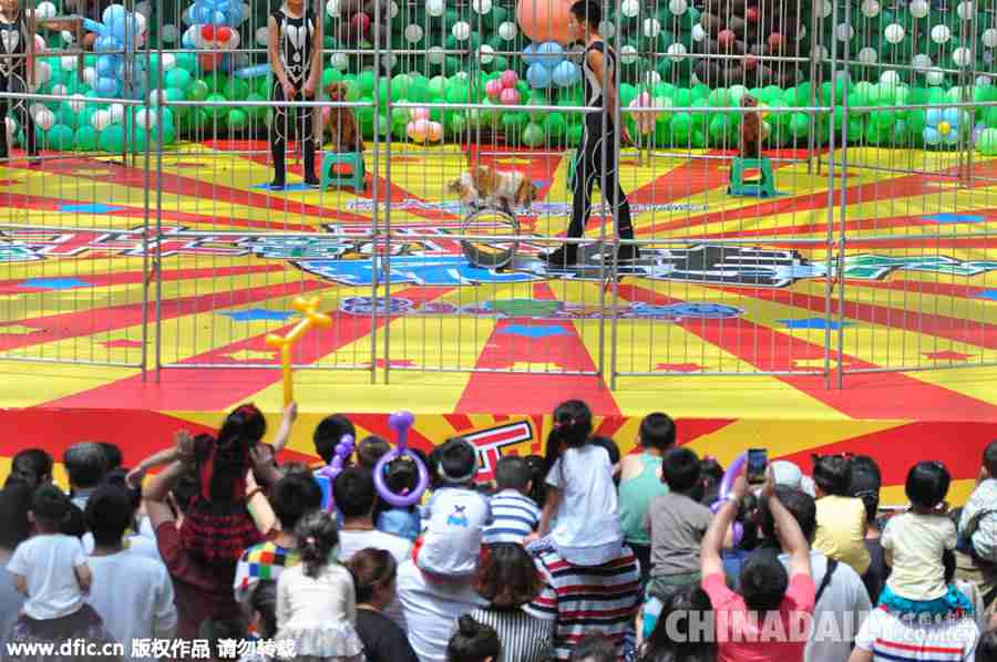 沈阳：商场上演马戏团吸引千人围观