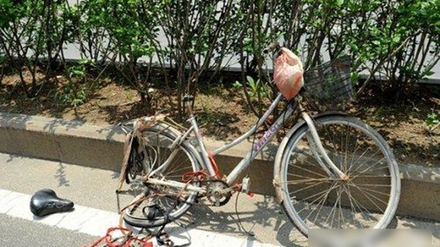 男子被车撞飞 倒插死于肇事车内
