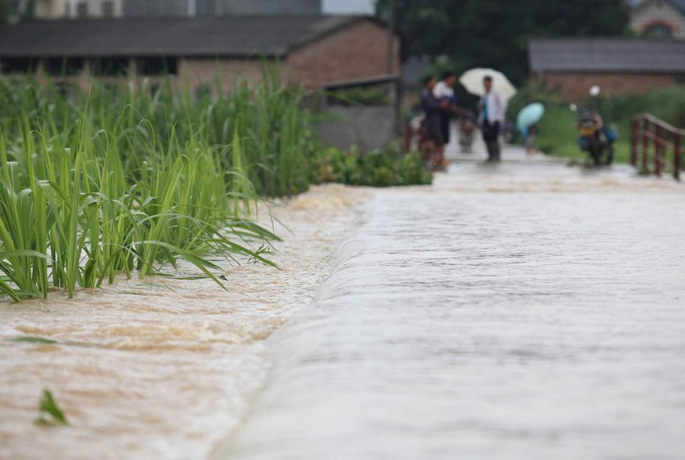 广西柳城遭暴雨袭击 庄稼受灾严重