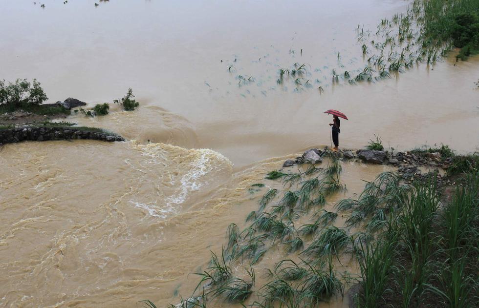 广西柳城遭暴雨袭击 庄稼受灾严重
