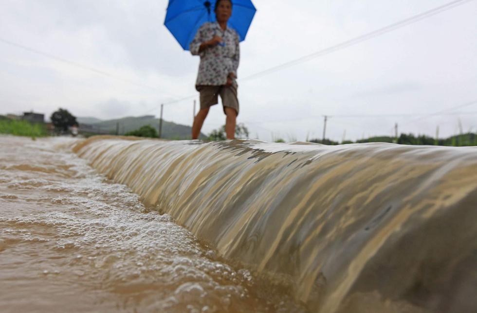 广西柳城遭暴雨袭击 庄稼受灾严重