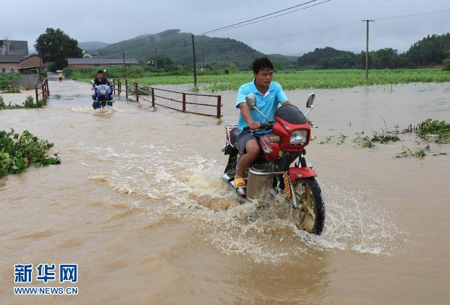 广西柳城遭暴雨袭击 庄稼受灾严重