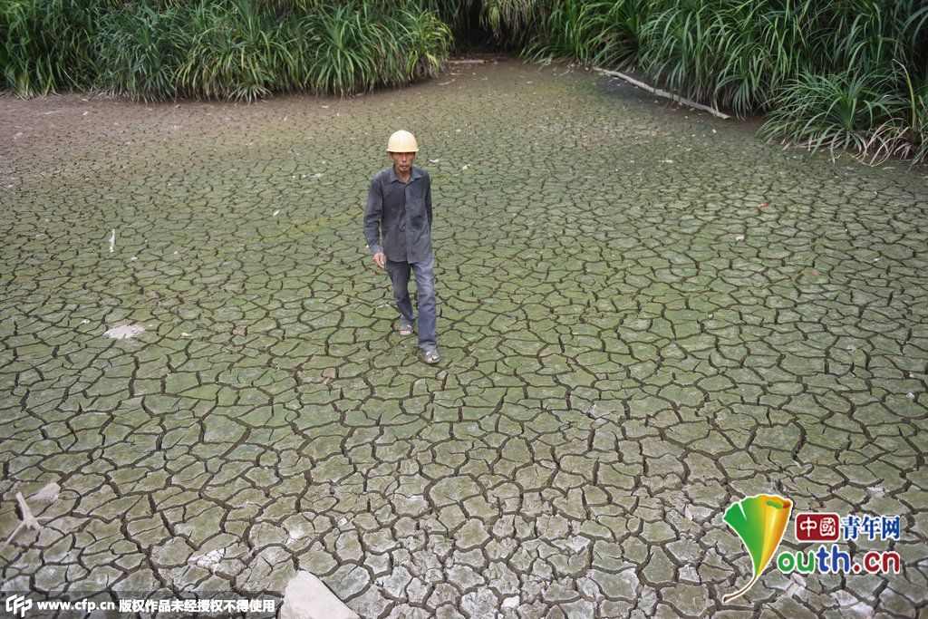 海南琼海持续高温少雨 旱情蔓延[1]