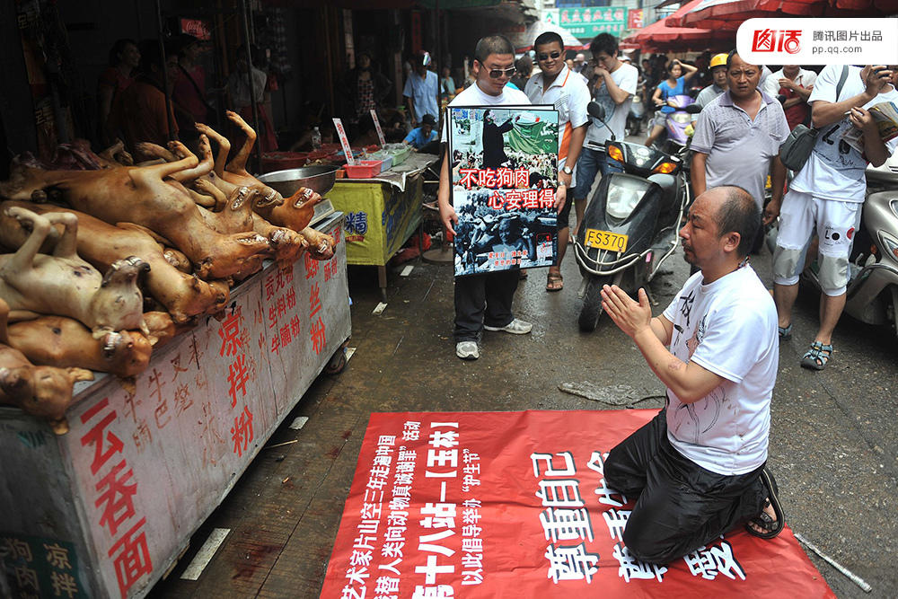 广西玉林：摄影师走访活狗市场