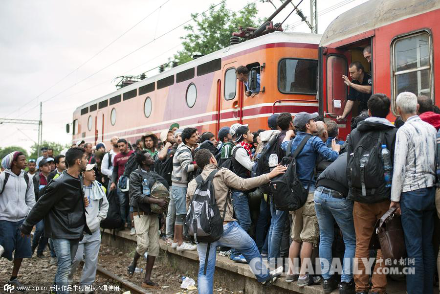移民拥堵车站试图乘火车前往塞尔维亚边境
