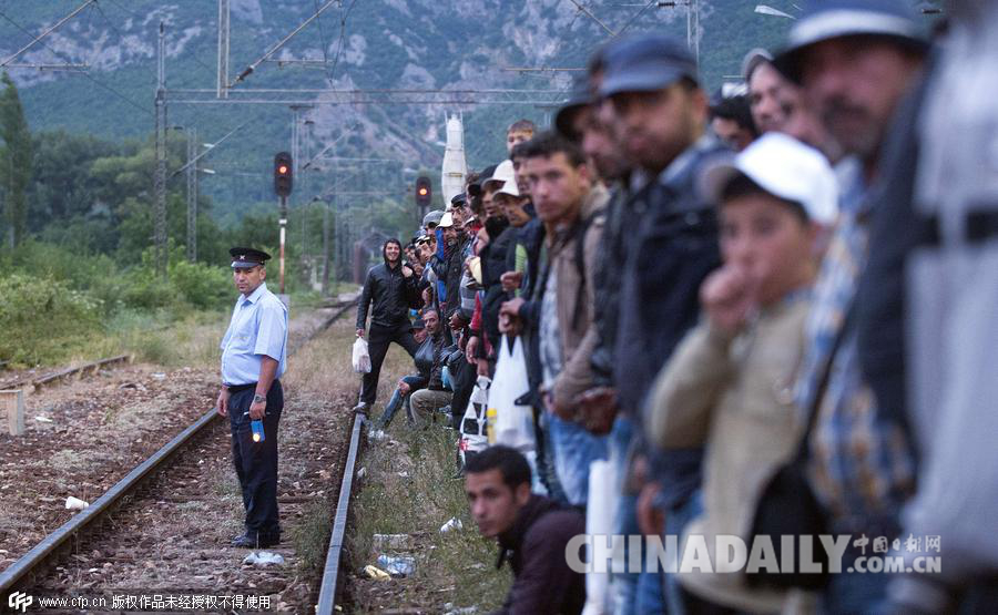 移民拥堵车站试图乘火车前往塞尔维亚边境