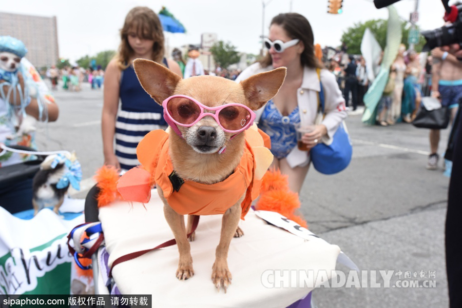 纽约美人鱼大游行 市民装扮成海洋生物尽情狂欢<BR>